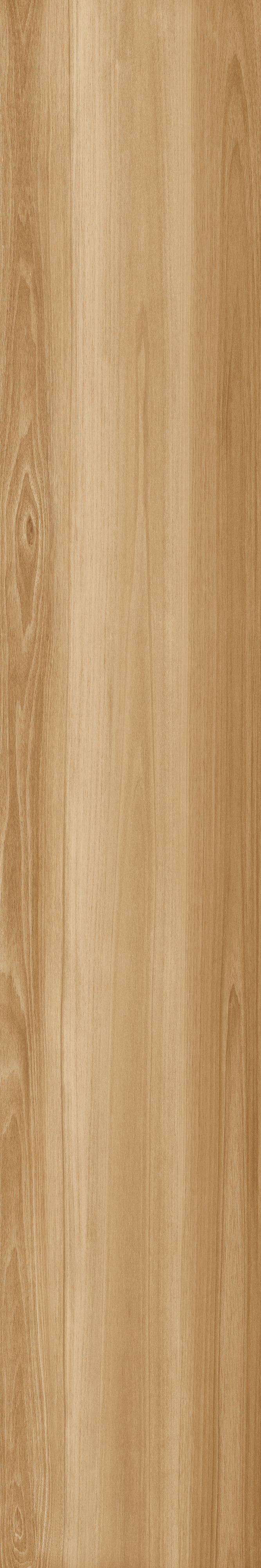 Life Oak