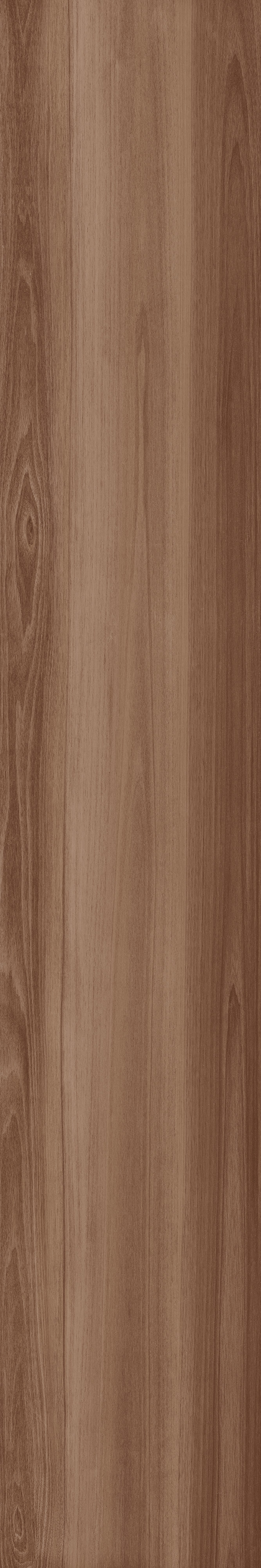 Life Walnut
