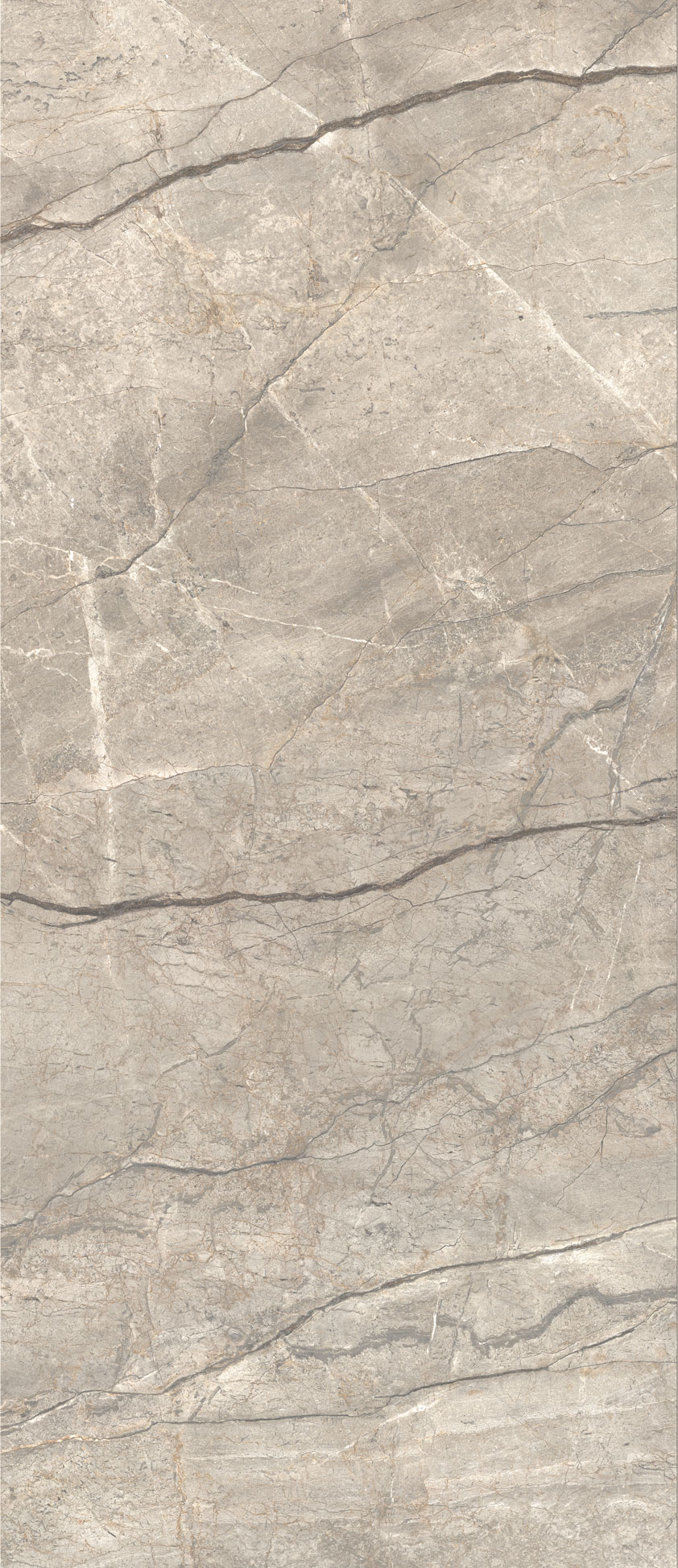 Anima Futura Amazing Silver