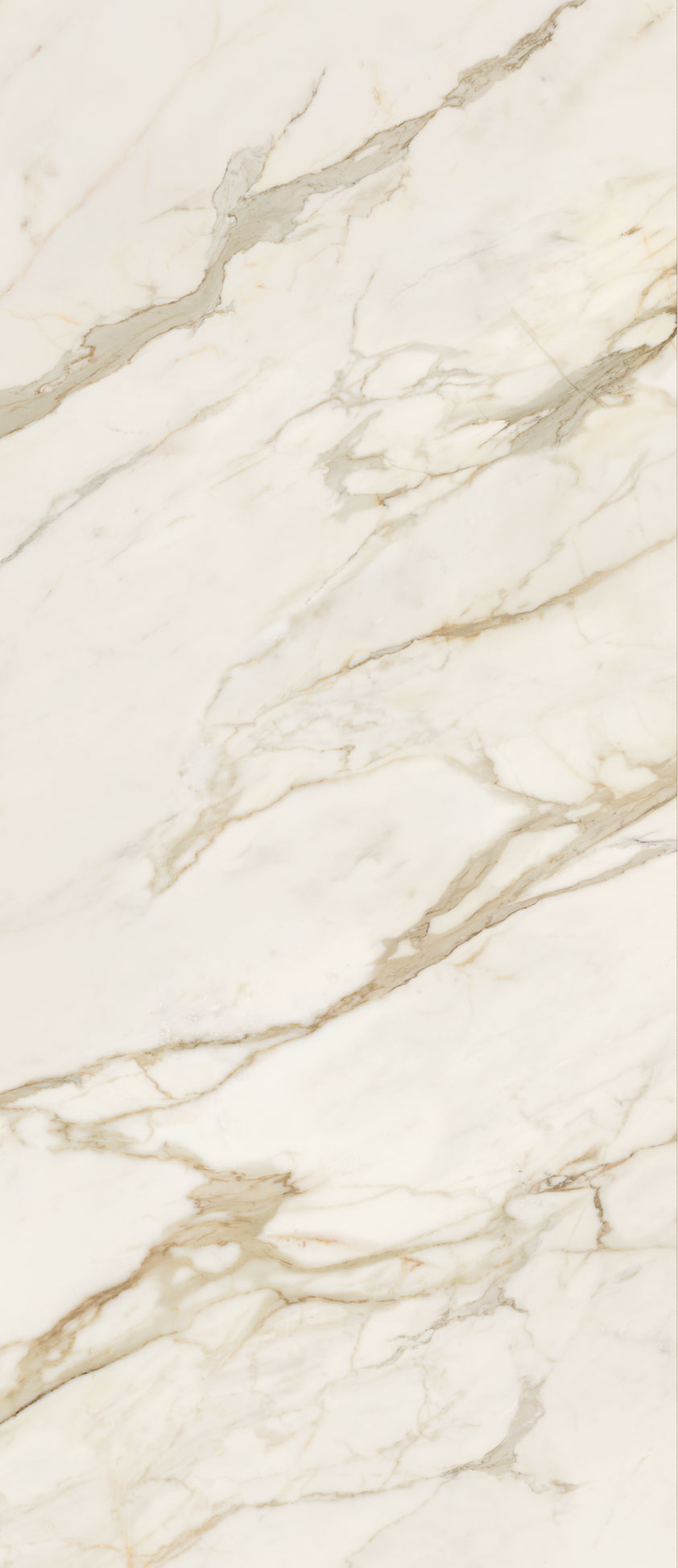 Anima Futura Golden White