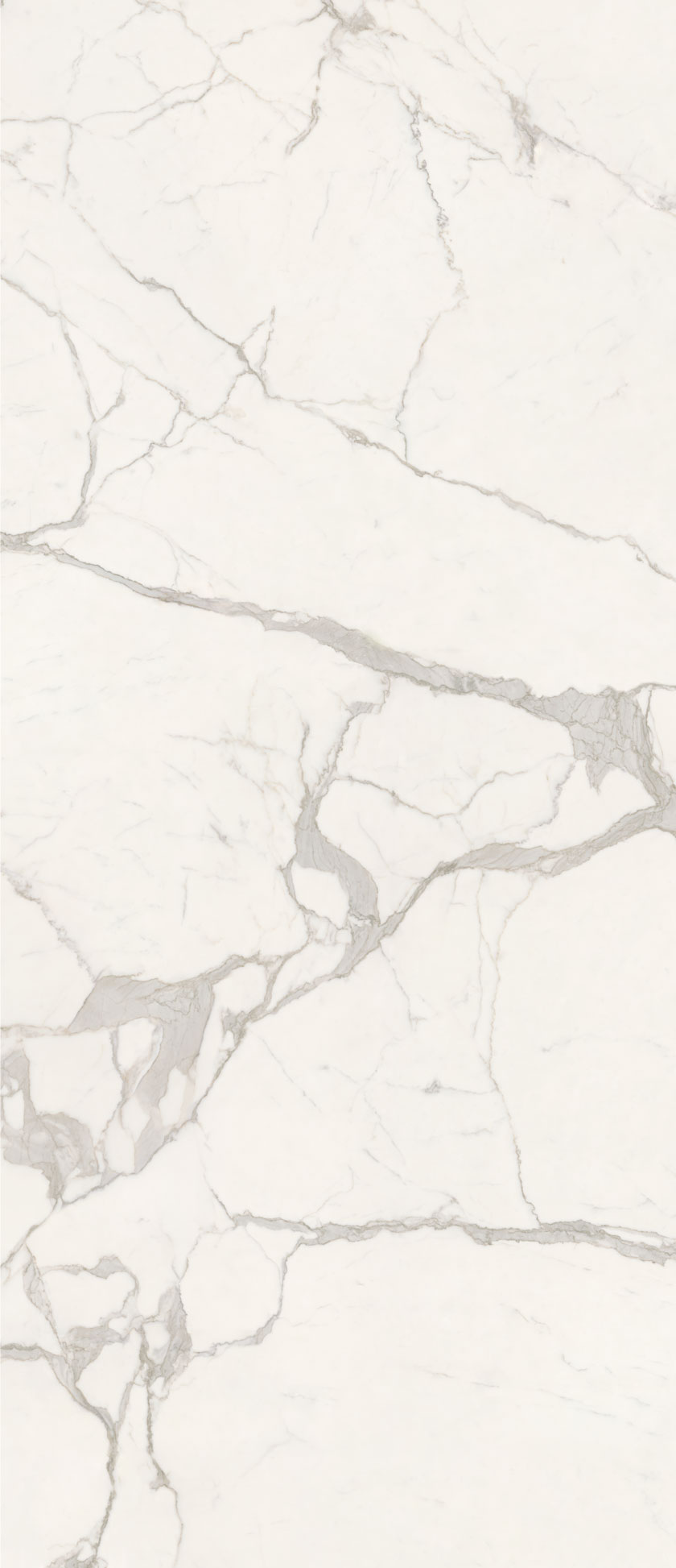 Anima Futura Majestic White